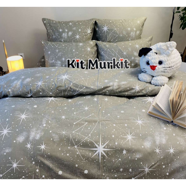 Сімейна постільна білизна ™Кіт Муркіт фланель Срібний всесвіт